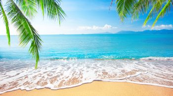 funeral director continuing education unit courses